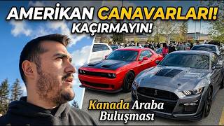 Kanada’da Araba Kültürü: Edmonton’da BMW, Mustang ve Dev Trucklar!