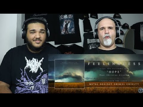 Feelingless - Hope feat Christian Älvestam (Patreon Request) [Reaction/Review]