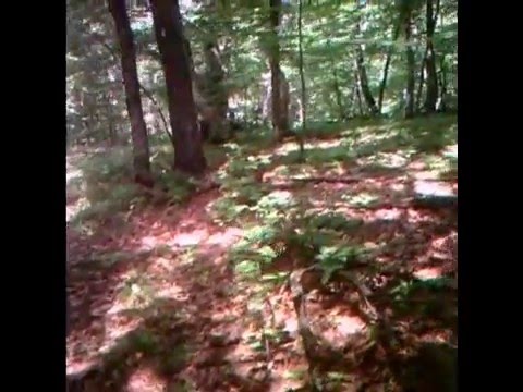 PointBlank MinteMen 28 Days Later Jungle Rumble Part 1