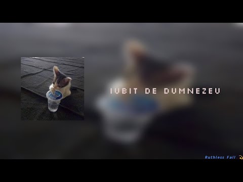 Florin Salam , MGK, Leo De La Kuweit, Petre Stefan & YNY Sebi - Iubit De Dumnezeu | slowed n reverb