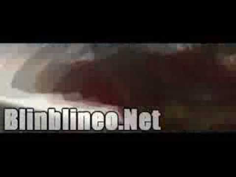 Syko Ft.Genio, Baby Jhonny De La Ghetto,Cosculluela,Yomo & Guelo Star - Asi Es Mi Vida Remix (Video)