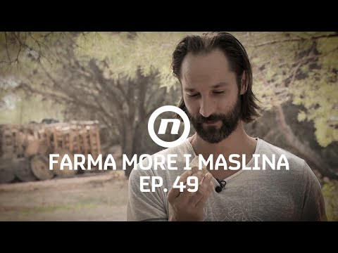 Tomine pustolovine - Epizoda 49 | Farma More i Maslina