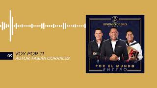 Voy Por Ti Lyrics  Translation