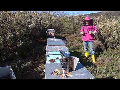 Aytekin Bal ve Arıcılık