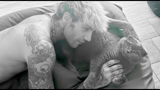 Il Ponte Dell'arcobaleno Lyrics English Translation