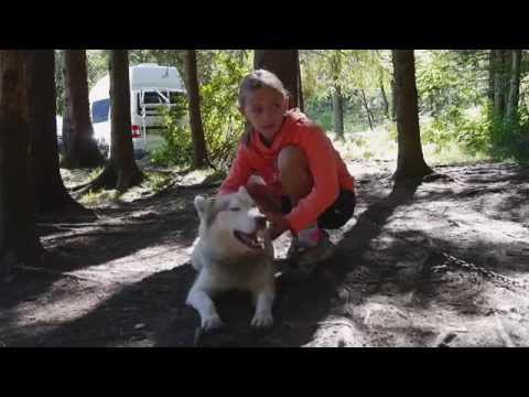 Kids Activity Programmes - Summer activities in Chamonix - Chamonix All Year