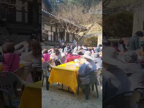 인현왕후가 머문 사찰! 청암사의 고로쇠 간장 담그기 행사 #사찰음식 #김천