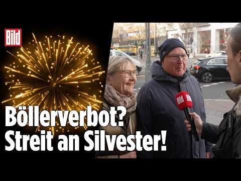 BÖLLERSTREIT ZUM JAHRESWECHSEL: Soll Feuerwerk an Silvester verboten werden?
