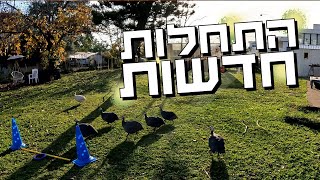 התחלות חדשות בבית ובמשק - פרק שאסור לפספס