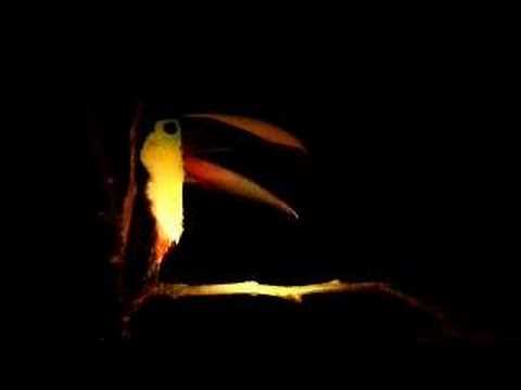 Never seen before! Yawning1