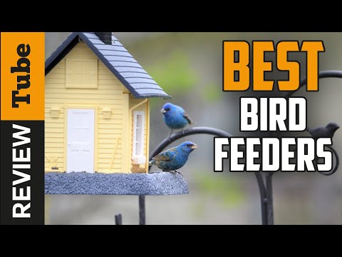 image-How to hang a bird feeder?How to hang a bird feeder?
