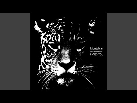 I Miss You (Original Mix)