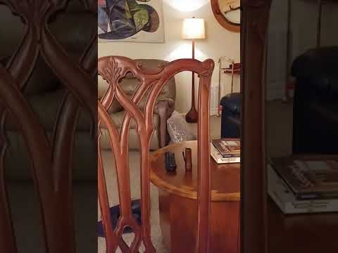 Antique Chippendale Chair