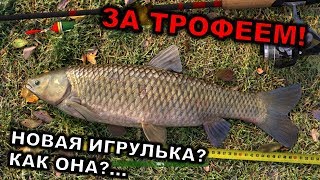 Professional Fishing 🔴 ОБЗОР, ЛОВЛЯ, АТМОСФЕРА | с чего начинать, руководство от 12.2018