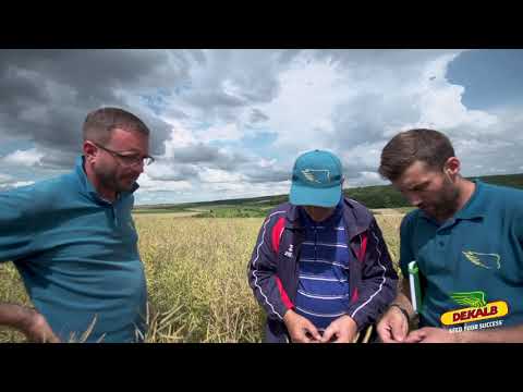 Rapita DEKALB nu se scutura! - interviu Florian Gug