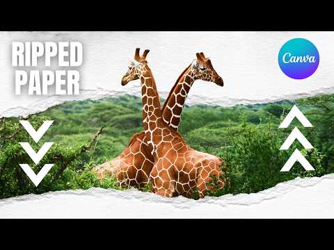 How to Create a Product Animation Video Ad in Canva Step by Step Guide
