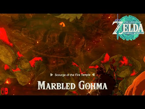 Legend Zelda Tears of the Kingdom - Boss Fight Marbled Gohma "Scourge of the Fire Temple"