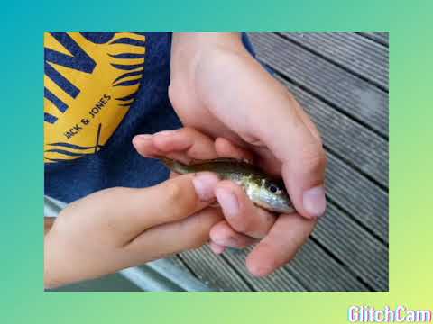 Lekker vissen gevangen (kleine skit)