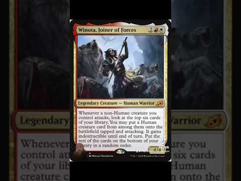 Budget Brews Episode 11!: Cedh WINota Stax !