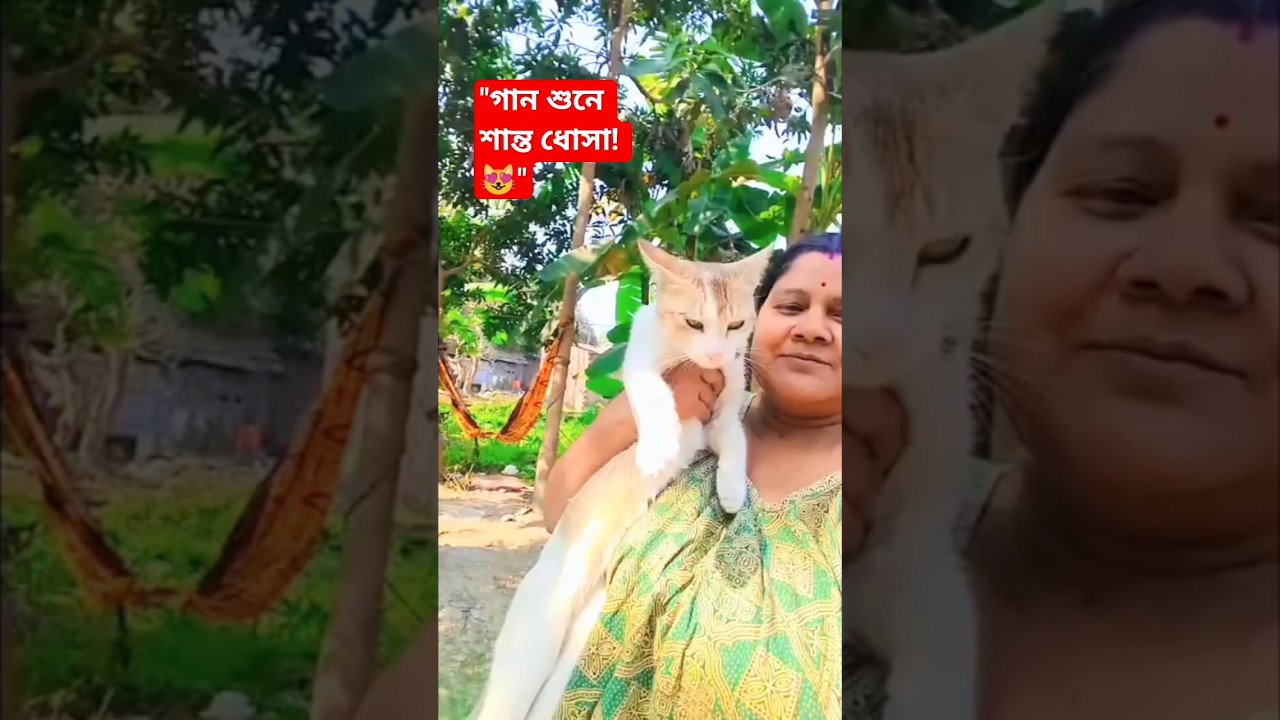 ধোসাকে গান শুনিয়ে শান্ত করার এক মিষ্টি মুহূর্ত! 🎶❤️ #Shorts #Dhosa #Viral