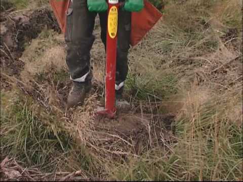 Plantera rätt - demo