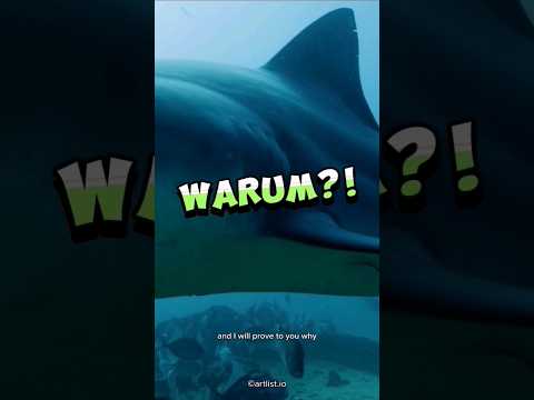 3 DINGE, die tödlicher sind als Haie! | Rasa'sWelt | #shorts #sharks