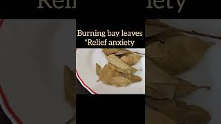 Burn bay leaf to  relieve anxiety and stress.