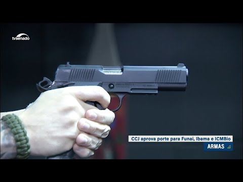 Aprovado porte de arma para agentes de Ibama, Funai e ICMBio