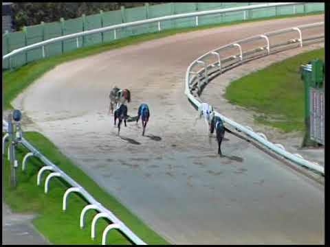 2017 BETFRED ECLIPSE - 3RD SEMI - T4 DOROTAS WILDCAT