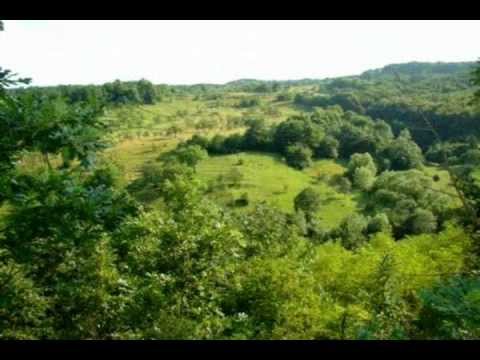 Tara Zarandului - Satul Crisan, Ribita, Hunedoara - foto Alin David, taragot Dorel Sparios