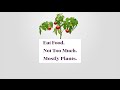 Eat Real Food Mostly Plants Free Download Audio Mp3 and Mp4