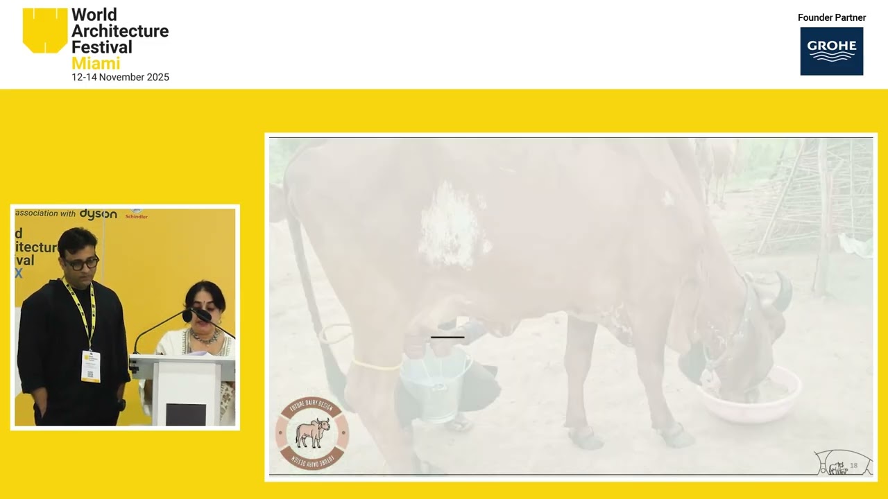 WAF 2025: WAFX Winner 2025   tHE gRID Architects