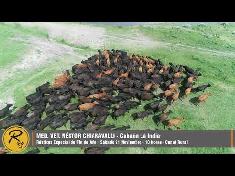 Nestor Chiaravalli - Cabaña La India - Rústicos Especial de Fín de Año - 21-11-20