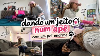 Minha tarde organizando o apê, lavando louça, trocando a roupa de cama.
