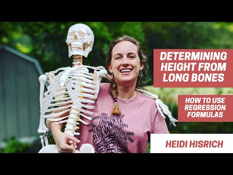 Calculating Height From Long Bones