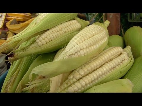 Peru Part 3: Dining in Lima, Peru, from Humble to Haute