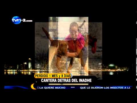 Perdidos y Encontrados con Annette Quinn