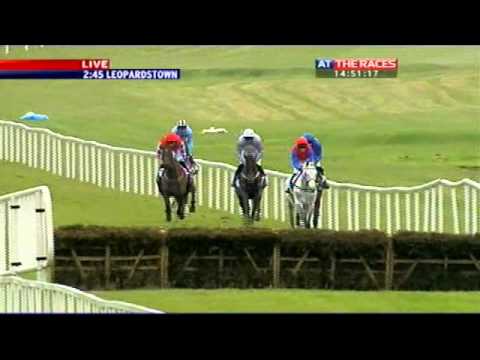 Irish Champion Hurdle 2011