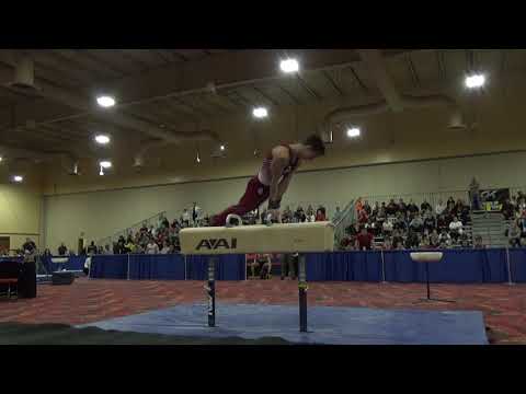 Vitaliy Guimaraes - Pommel Horse - 2019 Winter Cup Senior Finals