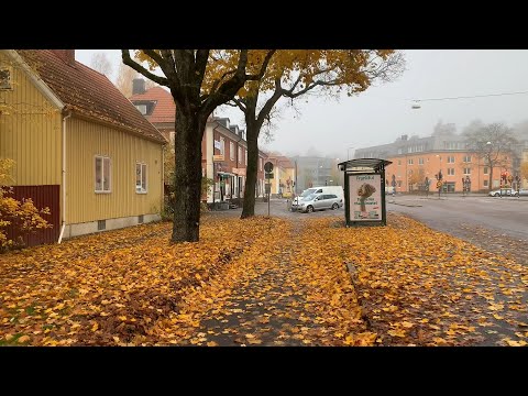 Stockholm Walks: Gamla Tyresövägen in fog and glorious autumn colors. Morning in the suburb Enskede