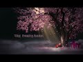 NONSTOP Chinese Song 4 In ONE Nith Boss YangJov Team 🪷THY NONSTOP​ ​FAMILY​BOSS