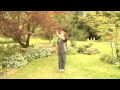 Snake Qigong Sections 4 5 6