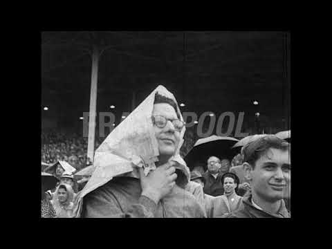 Native Dancer, Race Horse, USA, Jun 13, 1953