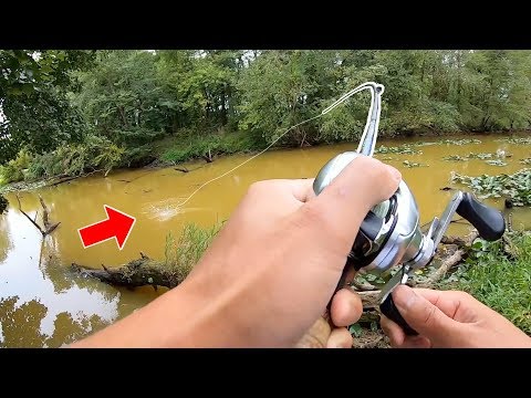 My Top 10 Fish Catches of 2019!!! (1 IN A MILLION CHANCE)