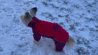 Červená zimní kombineza pro psy s tlapkou 30-35cm