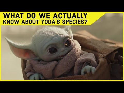 What Do We Know About Yoda's Species?