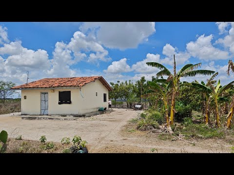 OPORTUNIDADE! Sítio de 12 Hectares em Passira - PE | Muita Água e Pronto para Morar