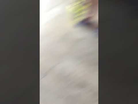 Problems with staff at Club Dena