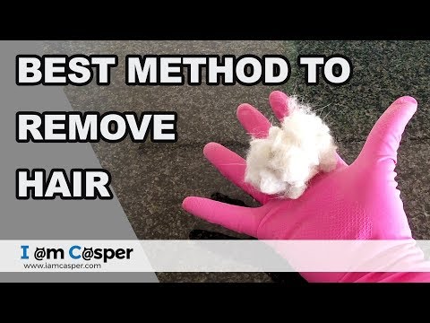 HOW to REMOVE cat HAIR - Best trick EVER - Quick HOW TO demonstration