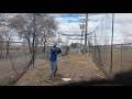 Cage hitting